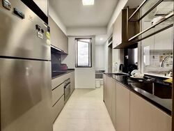 The Florence Residences (D19), Apartment #537046781